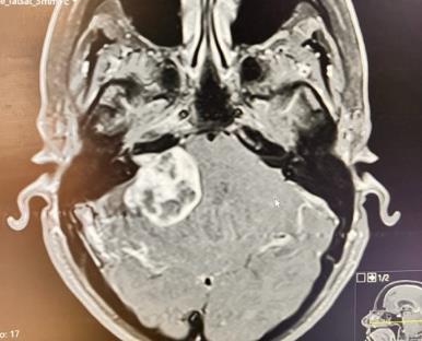 A picture containing text, book

Description automatically generated